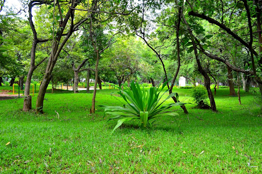 photo of Guindy National Park